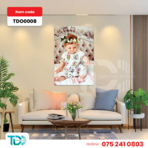 TDO0008
