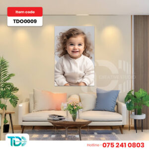 TDO0009