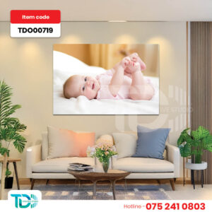 TDO00719