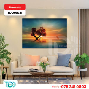 TDO00721