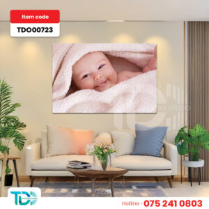 TDO00723