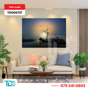 TDO00727