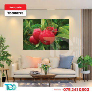 TDO00775